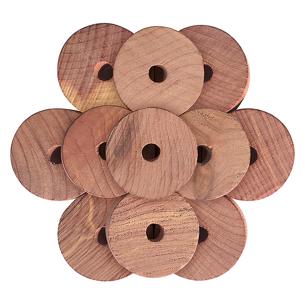 30pcs Blocs de cèdre aromatiques pour le rangement des vêtements Anneaux en  bois de cèdre rouge